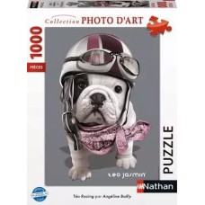Puzzle 1000 pièces - Téo Racing / Téo Jasmin