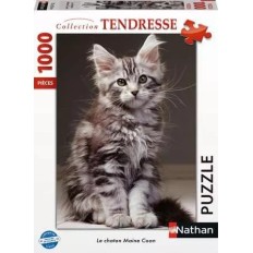 Puzzle 1000 pièces - Le chaton Maine Coon
