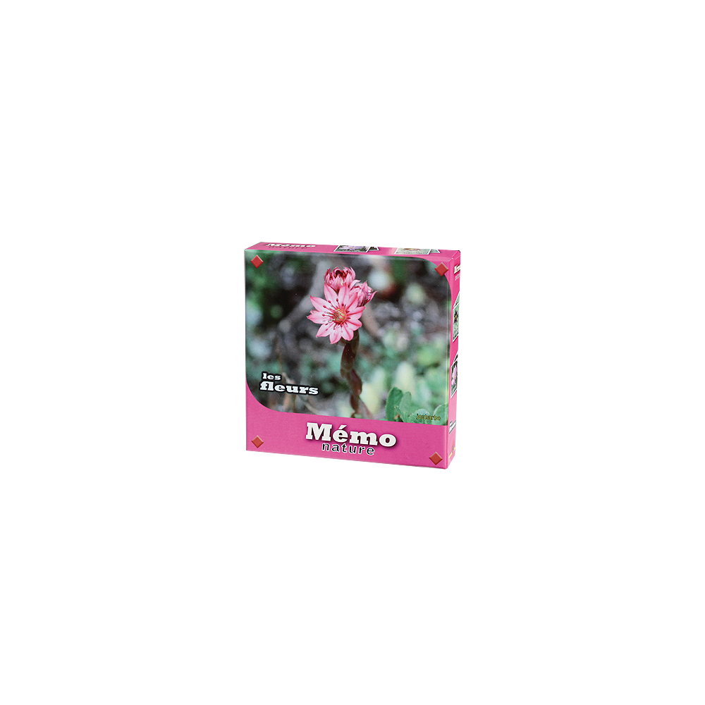 MEMO Fleurs