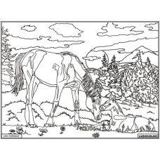 Coloriage - Chevaux - Tableau à colorier - Avec contours velours noir