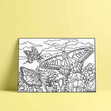 Coloriage - Papillons - Attrape rêve - Tableau à colorier - Avec contours velours noir